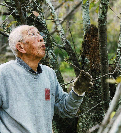 佐野藤右衛門2023桜守: 京都♾KYOTO old and new